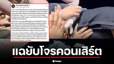 โอ๊ค Little John ถูกขโมยตุ๊กตาสุดหวงกลางเวที เพจตั๋วร้อนฯ ประณามคนร้ายรอรับผลกรรม