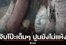 โป๊ะแตก! กัมพูชาผุด "เศียรพระในรากไม้" ชาวเน็ตจับผิด "ปูนยังไม่แห้ง" หวังเคลมไทย?