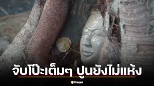 โป๊ะแตก! กัมพูชาผุด "เศียรพระในรากไม้" ชาวเน็ตจับผิด "ปูนยังไม่แห้ง" หวังเคลมไทย?