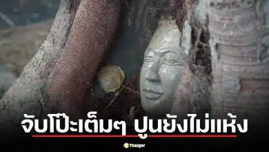 โป๊ะแตก! กัมพูชาผุด "เศียรพระในรากไม้" ชาวเน็ตจับผิด "ปูนยังไม่แห้ง" หวังเคลมไทย?