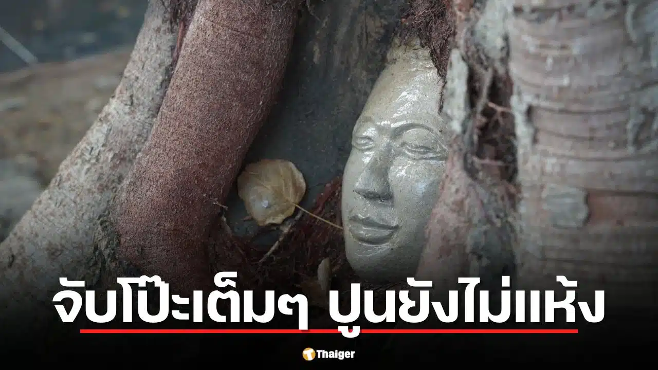 โป๊ะแตก! กัมพูชาผุด "เศียรพระในรากไม้" ชาวเน็ตจับผิด "ปูนยังไม่แห้ง" หวังเคลมไทย?