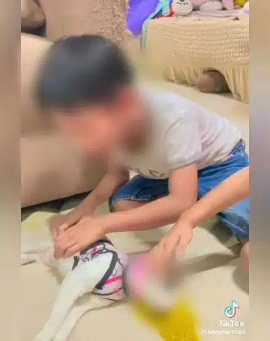 ซ้อเปาแนะวิธีปลอบใจ ปล่อยลูกร้องไห้ระบายเศร้าเมื่อสัตว์เลี้ยงตาย