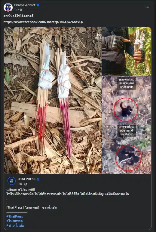 าวเทียม GISTDA จับจุดความร้อนในเชียงใหม่ทะลุ 2,839 จุดสะสมตั้งแต่ต้นปี อ.แม่แตง จ.เชียงใหม่