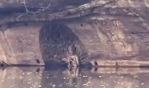 เขตต้าจู๋กับมรดกโลกด้านประติมากรรมหิน