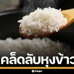 เคล็ดไม่ลับ! หุงข้าวระดับเชฟ แค่หยด 'น้ำส้มสายชู-น้ำมัน' ข้าวเรียงเม็ดสวยเป๊ะ