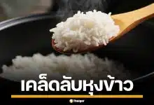 เคล็ดไม่ลับ! หุงข้าวระดับเชฟ แค่หยด 'น้ำส้มสายชู-น้ำมัน' ข้าวเรียงเม็ดสวยเป๊ะ