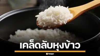 เคล็ดไม่ลับ! หุงข้าวระดับเชฟ แค่หยด 'น้ำส้มสายชู-น้ำมัน' ข้าวเรียงเม็ดสวยเป๊ะ