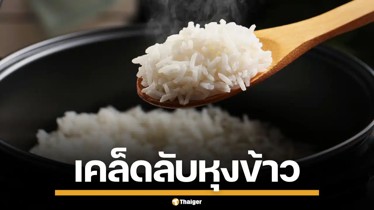 เคล็ดไม่ลับ! หุงข้าวระดับเชฟ แค่หยด 'น้ำส้มสายชู-น้ำมัน' ข้าวเรียงเม็ดสวยเป๊ะ