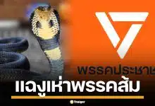 ส้มสะเทือน! แฉปรากฎการณ์ "งูดูดงู" เสนอ 20 ล้าน แถมเงินเดือน แลกโหวตนายกฯ