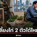 สรยุทธ แชร์แชต หนุ่มทักถามคอนโด "เลี้ยงไก่ได้ไหม" หลัง สว. แนะนำวิธีแก้จน