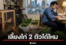 สรยุทธ แชร์แชต หนุ่มทักถามคอนโด "เลี้ยงไก่ได้ไหม" หลัง สว. แนะนำวิธีแก้จน