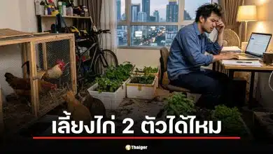 สรยุทธ แชร์แชต หนุ่มทักถามคอนโด "เลี้ยงไก่ได้ไหม" หลัง สว. แนะนำวิธีแก้จน