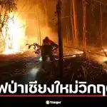สรุปเหตุการณ์ ไฟป่าเชียงใหม่ แม่แตงหนักสุด ฝุ่น PM2.5 อันดับ 1 โลก