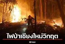 สรุปเหตุการณ์ ไฟป่าเชียงใหม่ แม่แตงหนักสุด ฝุ่น PM2.5 อันดับ 1 โลก