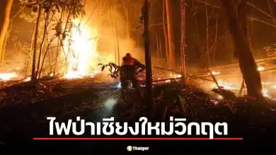 สรุปเหตุการณ์ ไฟป่าเชียงใหม่ แม่แตงหนักสุด ฝุ่น PM2.5 อันดับ 1 โลก