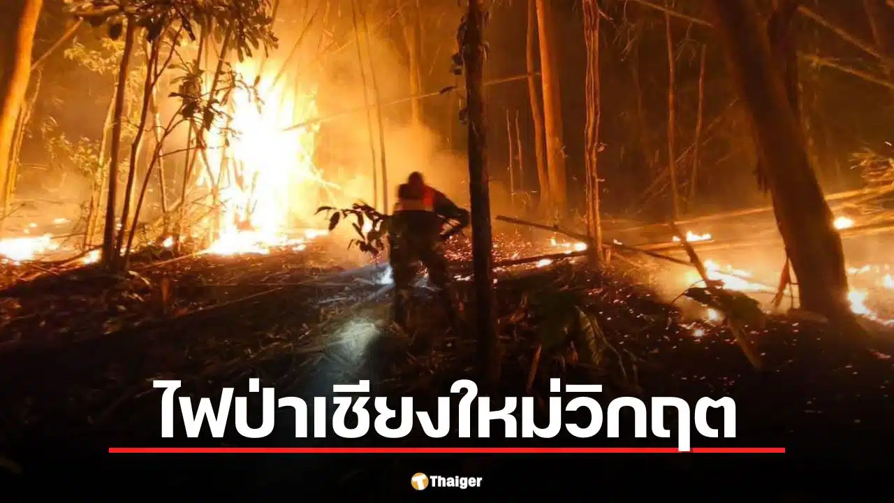 สรุปเหตุการณ์ ไฟป่าเชียงใหม่ แม่แตงหนักสุด ฝุ่น PM2.5 อันดับ 1 โลก