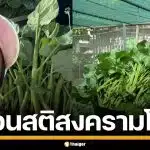 "สุนารี" ชวนคิด หากเกิดสงครามโลก เงินอาจไร้ความหมาย แนะเตรียมแผนรับมือ