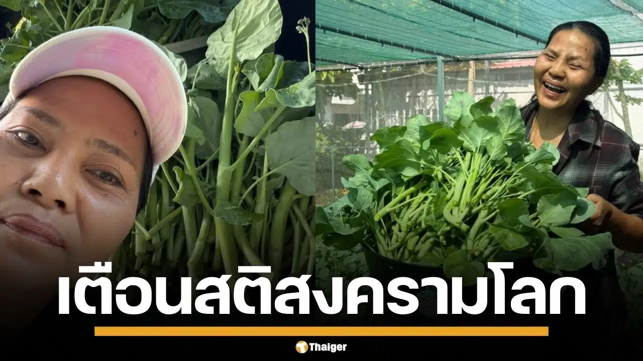 "สุนารี" ชวนคิด หากเกิดสงครามโลก เงินอาจไร้ความหมาย แนะเตรียมแผนรับมือ