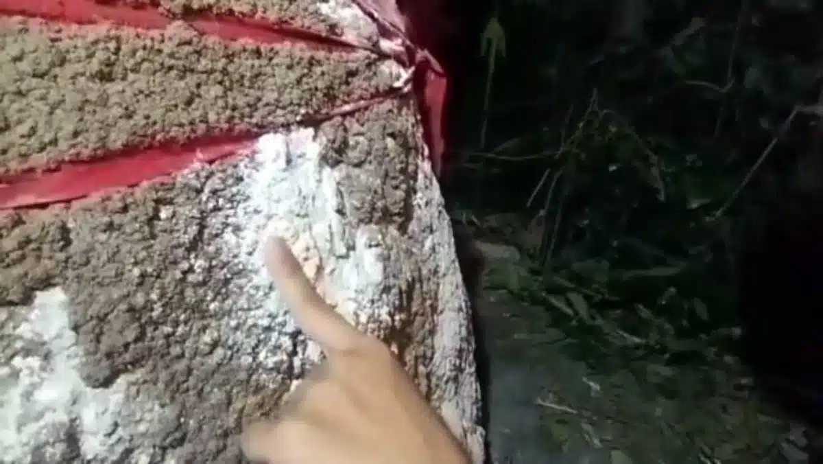 แม้มีวิกฤตน้ำมัน แต่ชาวบ้านยังมุ่งหน้าหาเลขเด็ด