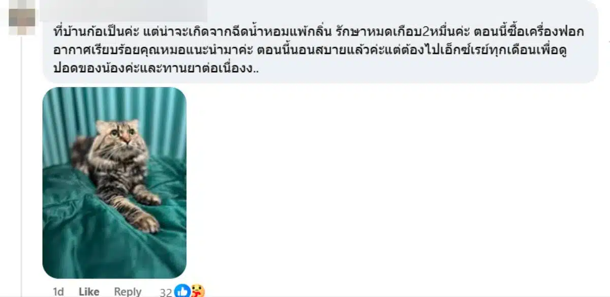 อย่าให้พฤติกรรมคุณทำร้ายสัตว์เลี้ยง ปอดแมวพังเพราะละอองพอต