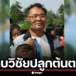 ตำนาน ดาบวิชัยปลูกต้นตาล คนบ้าวีรบุรุษ ดราม่า ตัดต้นตาลทิ้งขยายถนน