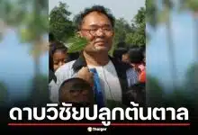 ตำนาน ดาบวิชัยปลูกต้นตาล คนบ้าวีรบุรุษ ดราม่า ตัดต้นตาลทิ้งขยายถนน