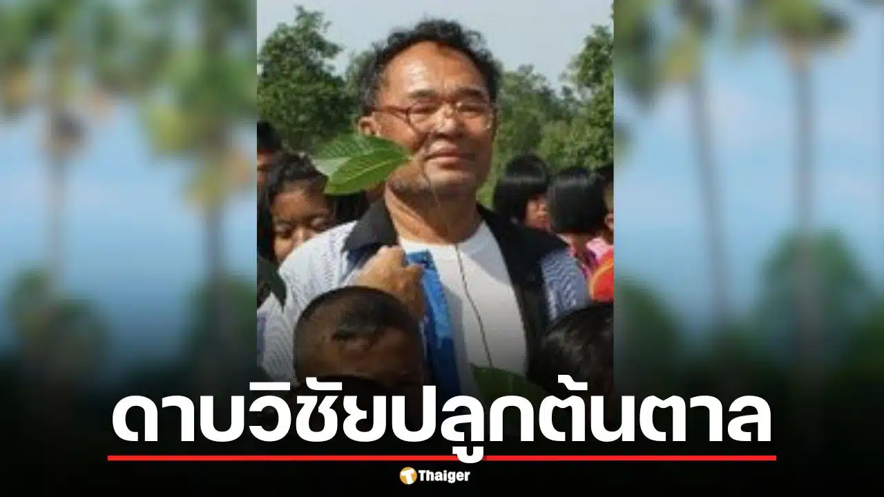 ตำนาน ดาบวิชัยปลูกต้นตาล คนบ้าวีรบุรุษ ดราม่า ตัดต้นตาลทิ้งขยายถนน