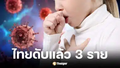 ไข้กาฬหลังแอ่นในไทยดับแล้ว 3 คน