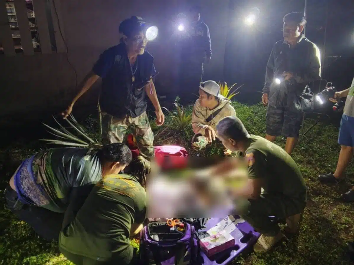 เจ้าหน้าที่พยายามช่วยชีวิตตาวัย 87 ถูกช้างป่าทำร้าย