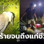 ตาวัย 87 ปี ช้างป่าเหยียบเสียชีวิต
