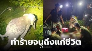 ตาวัย 87 ปี ช้างป่าเหยียบเสียชีวิต