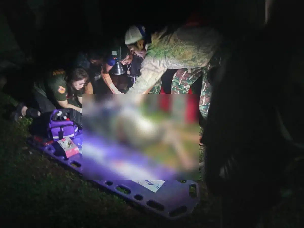 เหตุช้างป่าทำร้ายจนถึงแก่ชีวิต: เหยื่อวัย 87 ปีเสียชีวิต