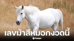 เลขเด็ดม้าสีหมอก งวด 16 มีนาคม 2569