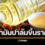 ด่วน น้ำมันปาล์มขึ้นราคา แตะขวดละ 51 บาท พิษวิกฤตน้ำมันเชื้อเพลิง