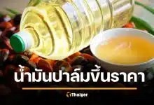 ด่วน น้ำมันปาล์มขึ้นราคา แตะขวดละ 51 บาท พิษวิกฤตน้ำมันเชื้อเพลิง