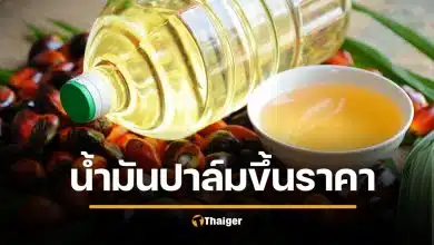 ด่วน น้ำมันปาล์มขึ้นราคา แตะขวดละ 51 บาท พิษวิกฤตน้ำมันเชื้อเพลิง
