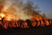 ไทยเตรียมรับมือผลกระทบจากปรากฏการณ์ "ซูเปอร์เอลนีโญ" ในเดือนพฤษภาคมนี้