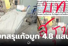 นักธุรกิจทำจมูก สรุป