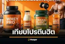 โปรตีนเวย์ นมวัว VS พืช VS โปรตีนใส กินอะไรสร้างกล้ามได้ดีสุด
