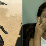 ดญ. 10 ขวบฟลอริดา รอดตายจระเข้ กัดขา ไหวพริบเอานิ้วอุดจมูก