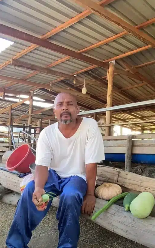 หมอปลา โพสต์คลิปวิดีโอผ่านเฟซบุ๊กวิพากษ์วิจารณ์แนวคิดของ สว.