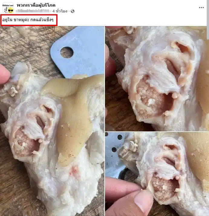 อวสานมื้ออร่อย สาวเจอตุ่มใส ๆ ในขาหมู โพสต์ถามชาวเน็ตแห่เตือนอันตราย-1