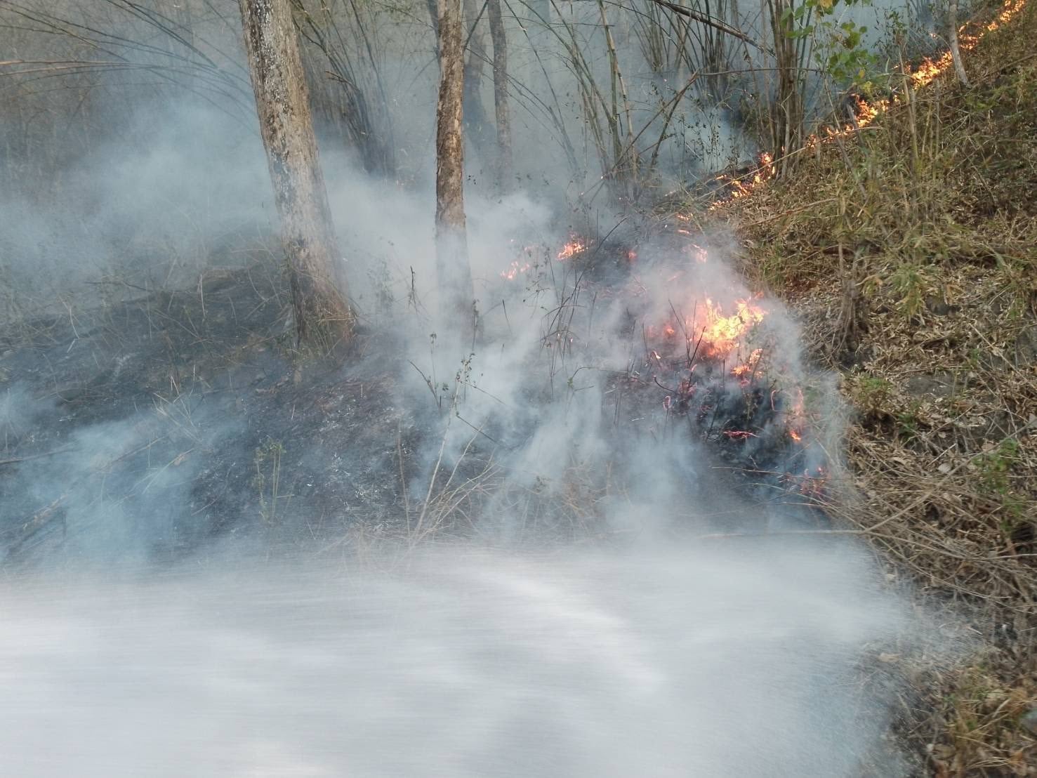 เชียงใหม่วิกฤต ไฟป่าปะทุ 158 จุด เพิ่มขึ้น 5 เท่า ควันขาวทลักคลุมเมือง PM2.5 สูงเกินเกณฑ์-3