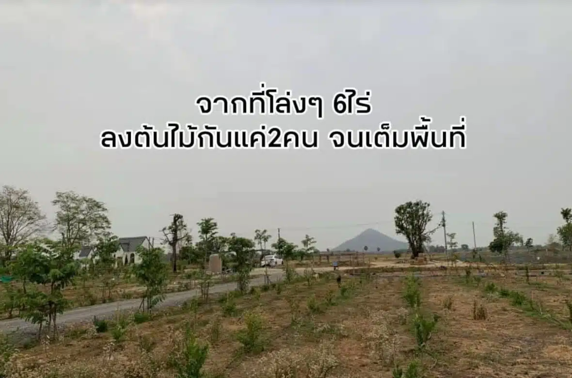 เพ็ชร ฐกฤต อวดชีวิตเรียบง่าย ลงมือทำสวนจากพื้นที่ 6 ไร่ สู่อาณาจักรแบบพอเพียง 13 ไร่-2