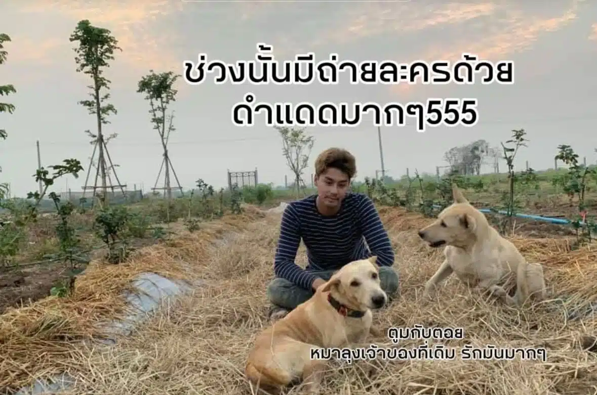 เพ็ชร ฐกฤต อวดชีวิตเรียบง่าย ลงมือทำสวนจากพื้นที่ 6 ไร่ สู่อาณาจักรแบบพอเพียง 13 ไร่-3