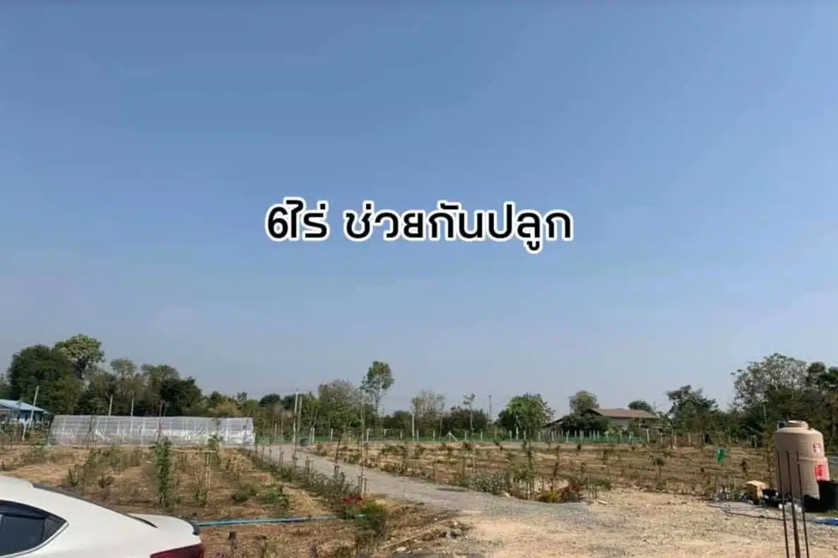 เพ็ชร ฐกฤต อวดชีวิตเรียบง่าย ลงมือทำสวนจากพื้นที่ 6 ไร่ สู่อาณาจักรแบบพอเพียง 13 ไร่-5