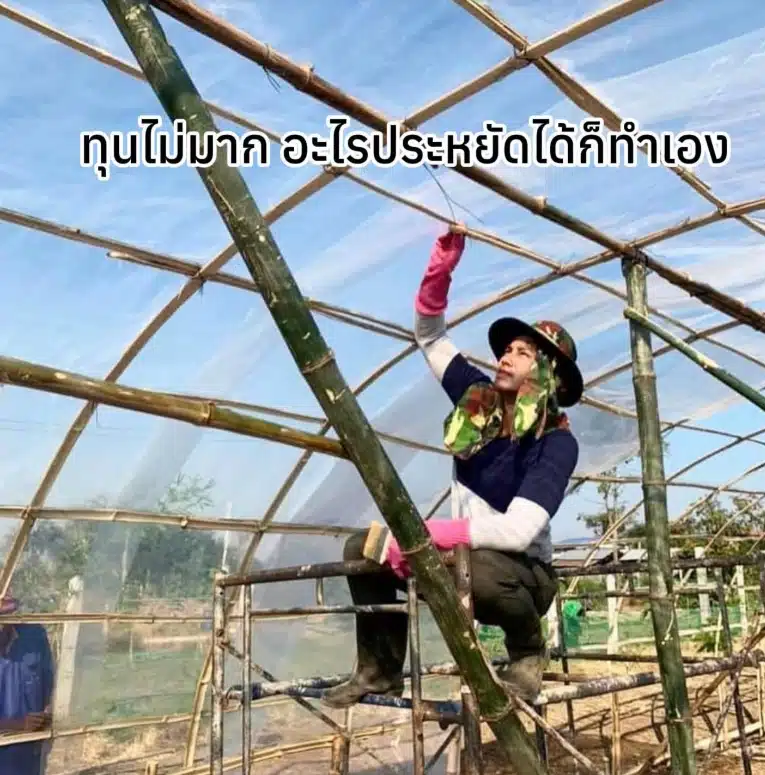 เพ็ชร ฐกฤต อวดชีวิตเรียบง่าย ลงมือทำสวนจากพื้นที่ 6 ไร่ สู่อาณาจักรแบบพอเพียง 13 ไร่-6