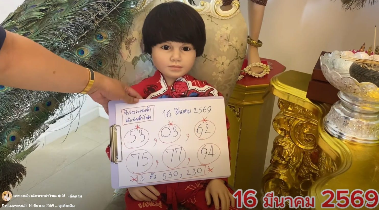 เลขเด็ด ปิงปองน้องเพชรกล้า 16 3 69