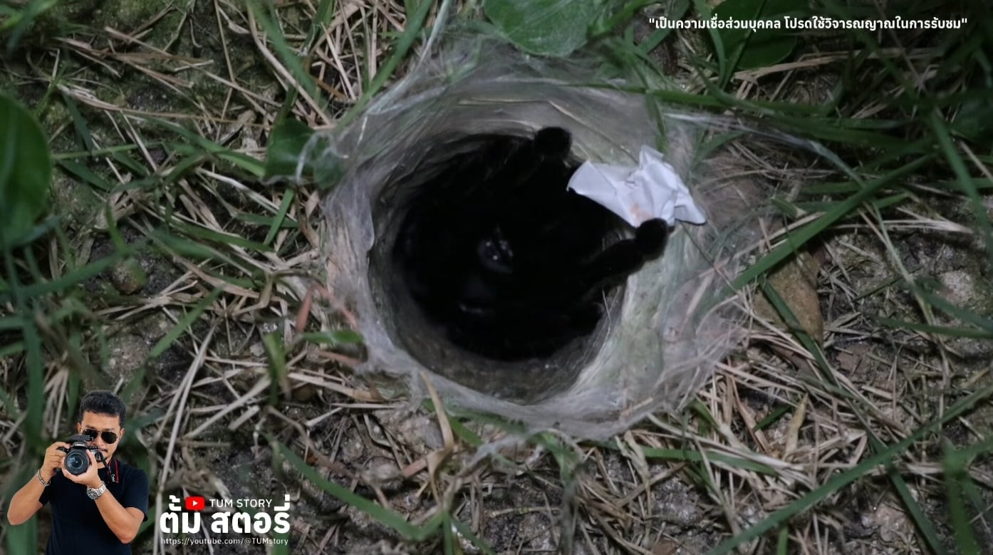 เลขเด็ด พญาบึ้ง 1 เม.ย. 69-3