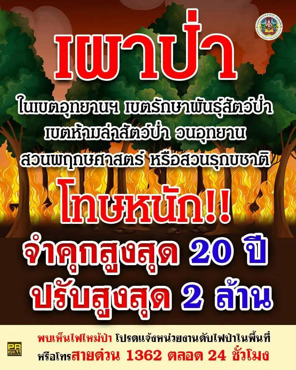 เผาป่า ติดคุกไหม โทษ
